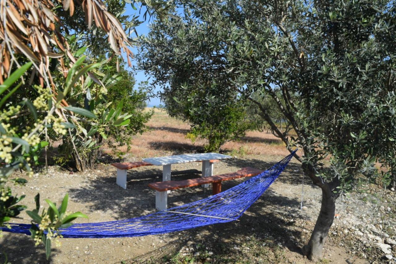 Mersinera Paradise Garden Stars House Larnaca Exterior photo