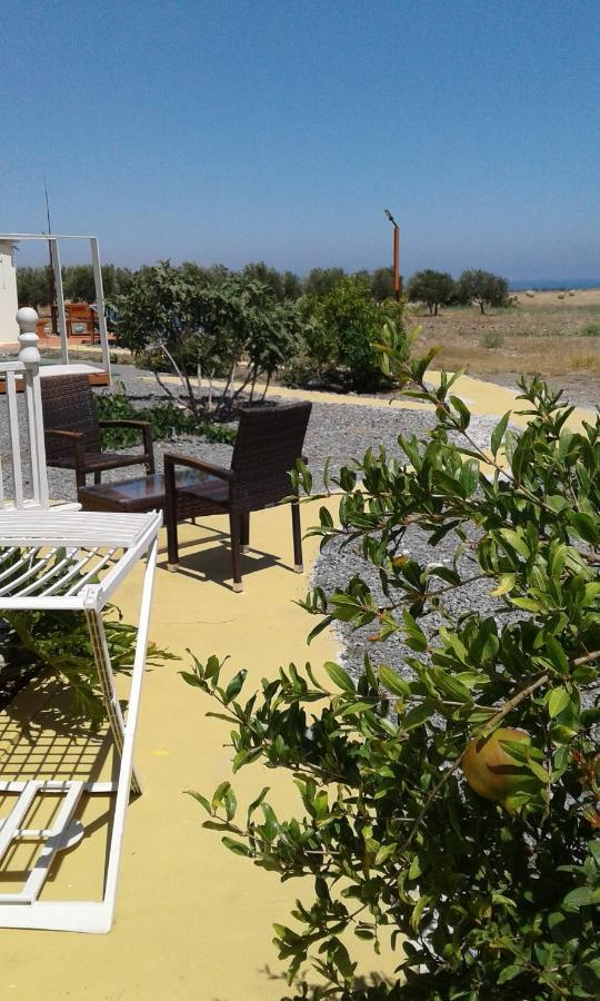 Mersinera Paradise Garden Stars House Larnaca Exterior photo