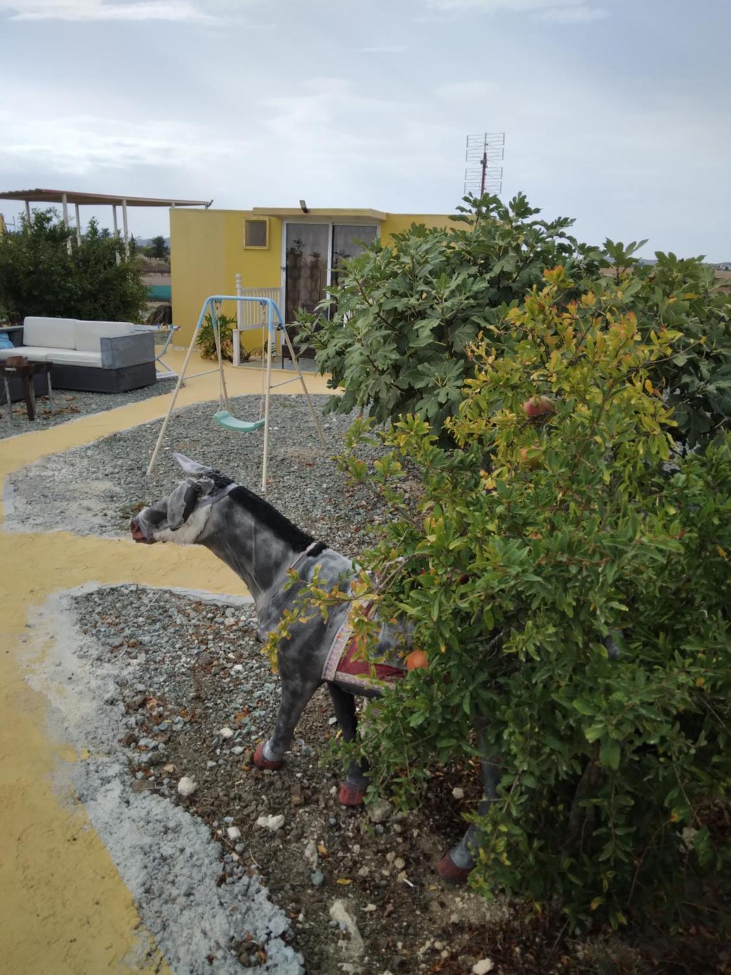 Mersinera Paradise Garden Stars House Larnaca Exterior photo